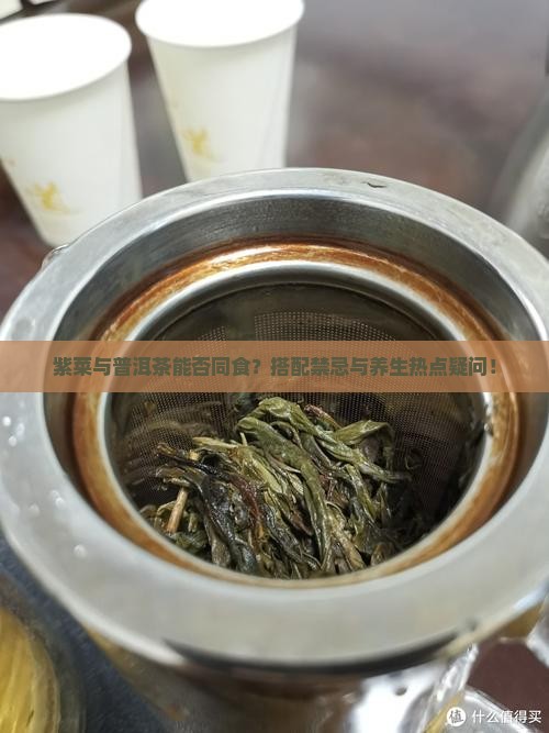 紫菜与普洱茶能否同食？搭配禁忌与养生热点疑问！
