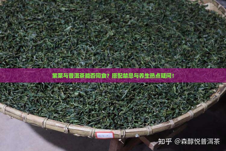 紫菜与普洱茶能否同食？搭配禁忌与养生热点疑问！