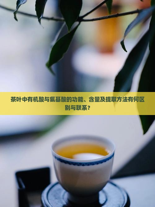 茶叶中有机酸与氨基酸的功能、含量及提取方法有何区别与联系？