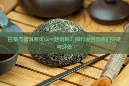 白茶与普洱茶可以一起喝吗？探讨混合饮用的好处与坏处