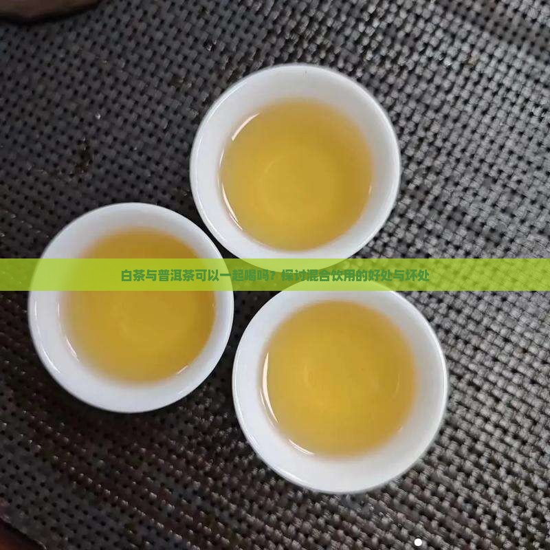 白茶与普洱茶可以一起喝吗？探讨混合饮用的好处与坏处