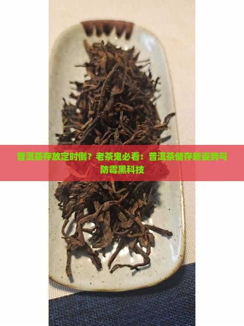 普洱茶存放定时倒？老茶鬼必看：普洱茶储存新姿势与防霉黑科技
