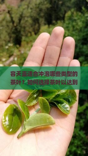容天壶适合冲泡哪些类型的茶叶？如何选择茶叶以达到口感？