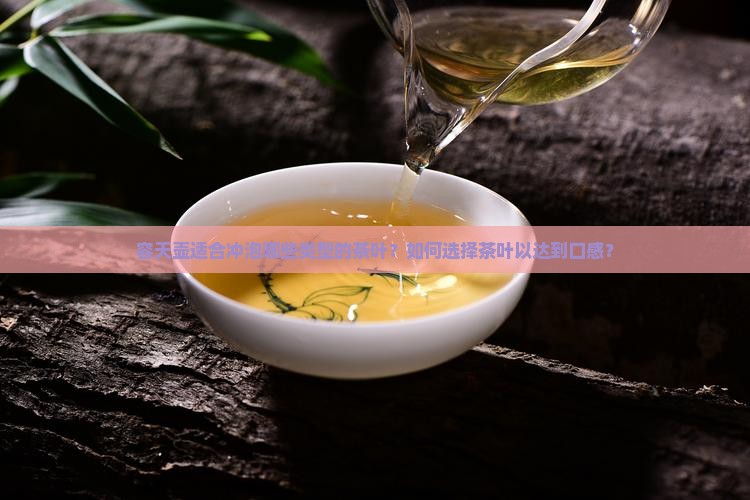 容天壶适合冲泡哪些类型的茶叶？如何选择茶叶以达到口感？