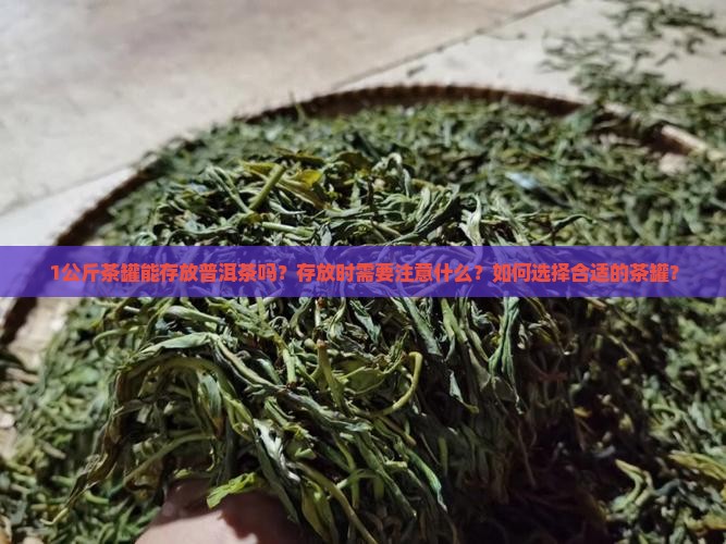 1公斤茶罐能存放普洱茶吗？存放时需要注意什么？如何选择合适的茶罐？