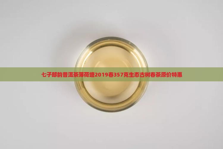 七子郎韵普洱茶薄荷塘2019春357克生态古树春茶原价特惠