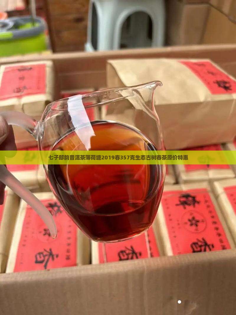 七子郎韵普洱茶薄荷塘2019春357克生态古树春茶原价特惠