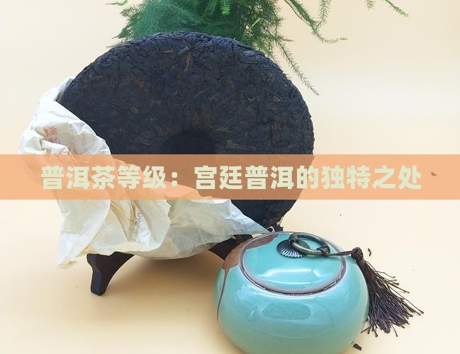 普洱茶等级：宫廷普洱的独特之处