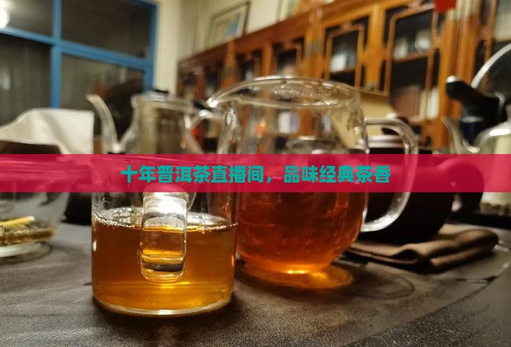 十年普洱茶直播间，品味经典茶香
