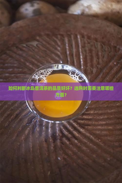 如何判断冰岛普洱茶的品质好坏？选购时需要注意哪些方面？