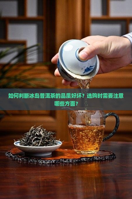 如何判断冰岛普洱茶的品质好坏？选购时需要注意哪些方面？