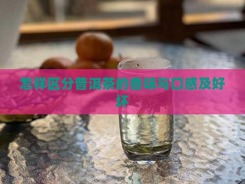怎样区分普洱茶的香味与口感及好坏