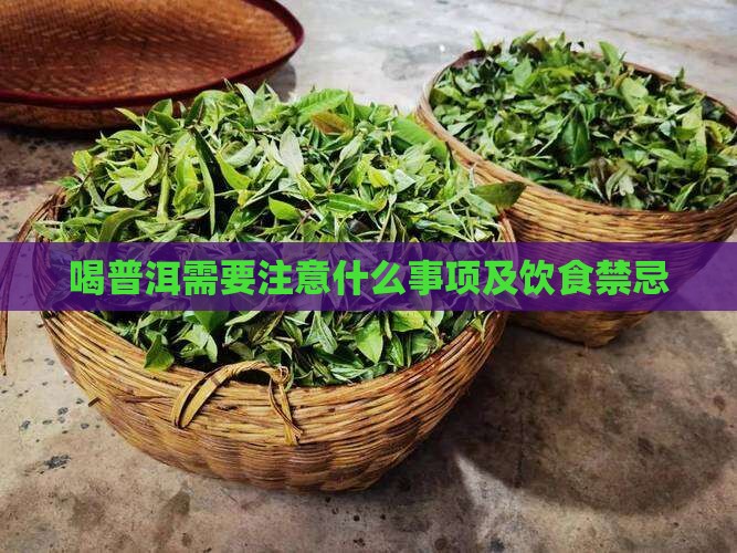 喝普洱需要注意什么事项及饮食禁忌