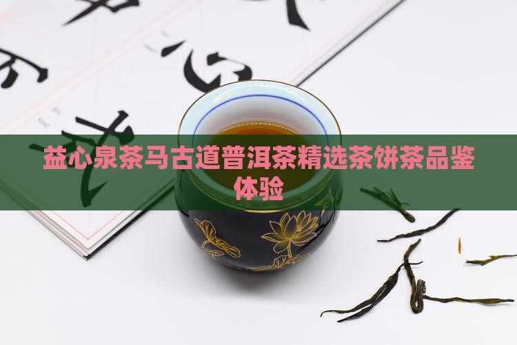 益心泉茶马古道普洱茶精选茶饼茶品鉴体验