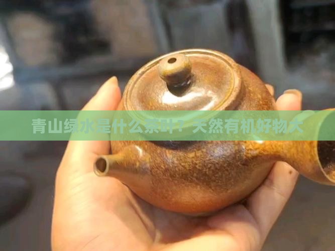 青山绿水是什么茶叶？天然有机好物大