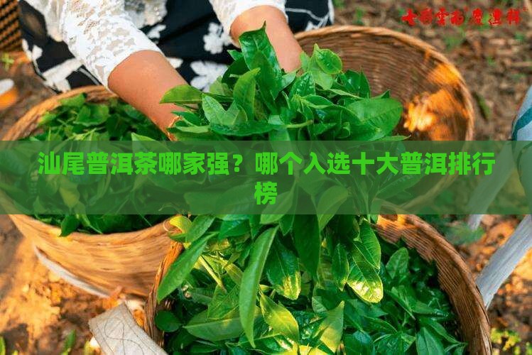 汕尾普洱茶哪家强？哪个入选十大普洱排行榜