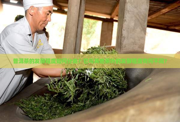 普洱茶的发酵程度如何分类？它与其他茶叶的发酵程度有何不同？