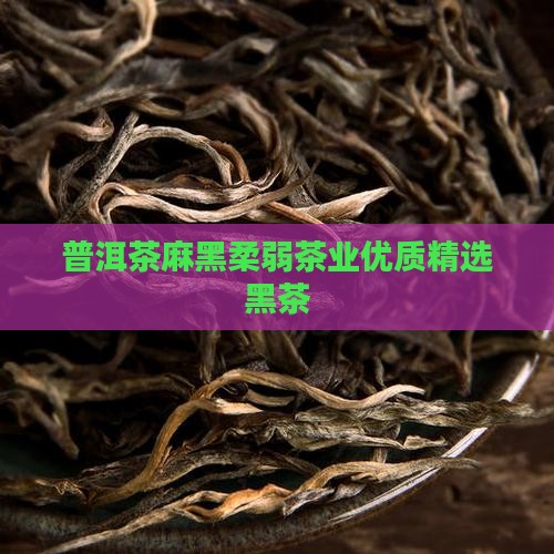 普洱茶麻黑柔弱茶业优质精选黑茶