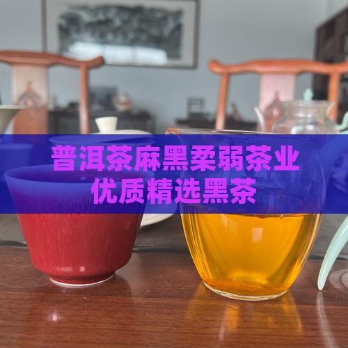 普洱茶麻黑柔弱茶业优质精选黑茶