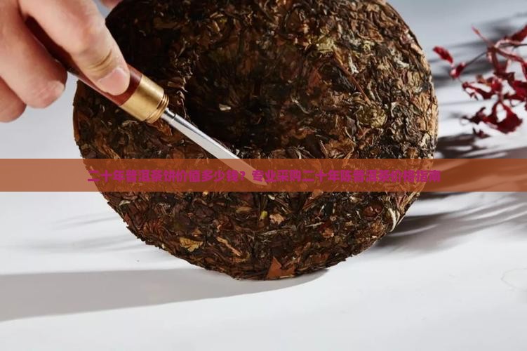 二十年普洱茶饼价值多少钱？专业采购二十年陈普洱茶价格指南