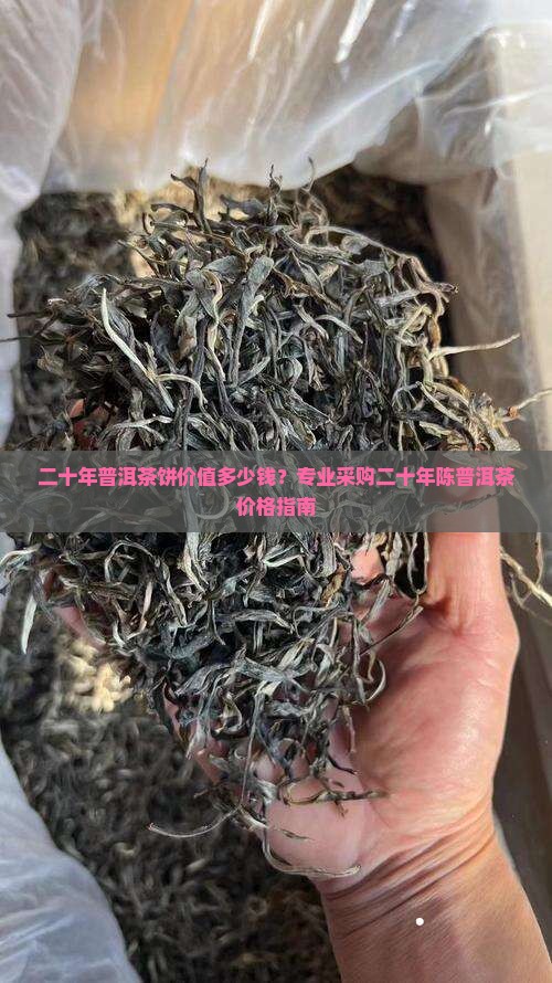 二十年普洱茶饼价值多少钱？专业采购二十年陈普洱茶价格指南