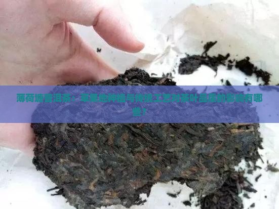 薄荷塘普洱茶：草果地种植与传统工艺对茶叶品质的影响有哪些？