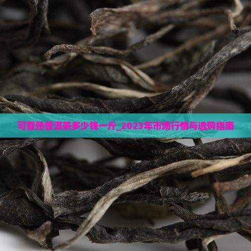 可靠熟普洱茶多少钱一斤_2023年市场行情与选购指南