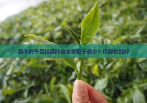 茶叶的干是指茶叶含水量低于多少？保鲜性能好