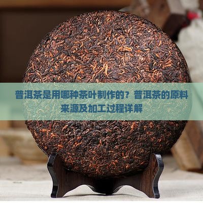 普洱茶是用哪种茶叶制作的？普洱茶的原料来源及加工过程详解