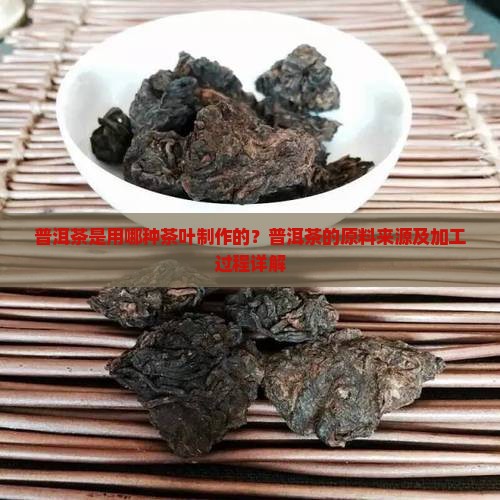 普洱茶是用哪种茶叶制作的？普洱茶的原料来源及加工过程详解
