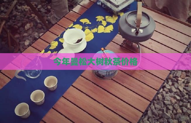 今年曼松大树秋茶价格