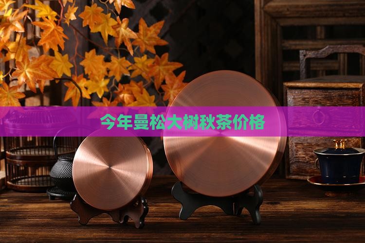 今年曼松大树秋茶价格