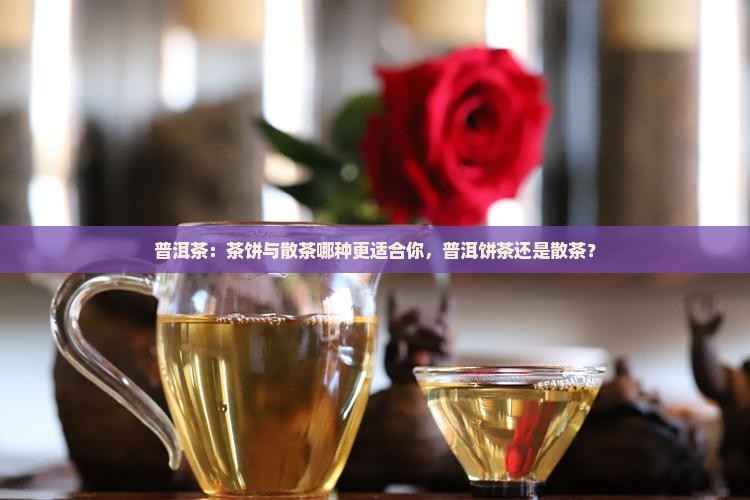 普洱茶：茶饼与散茶哪种更适合你，普洱饼茶还是散茶？