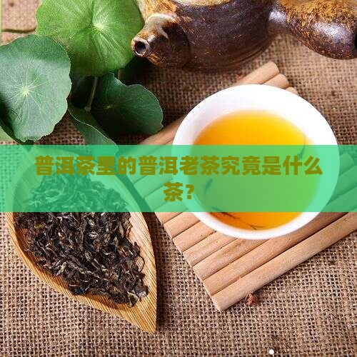 普洱茶里的普洱老茶究竟是什么茶？