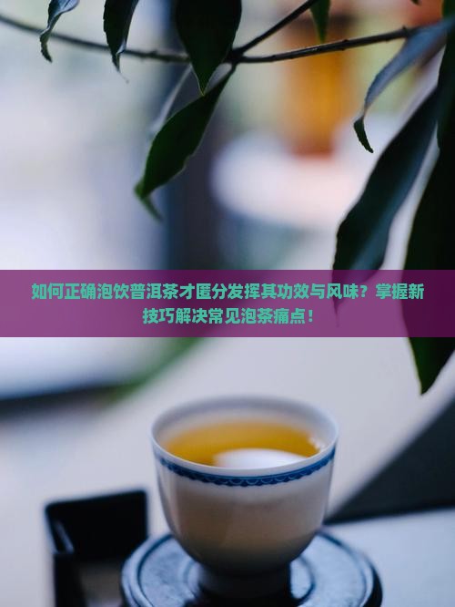 如何正确泡饮普洱茶才匿分发挥其功效与风味？掌握新技巧解决常见泡茶痛点！