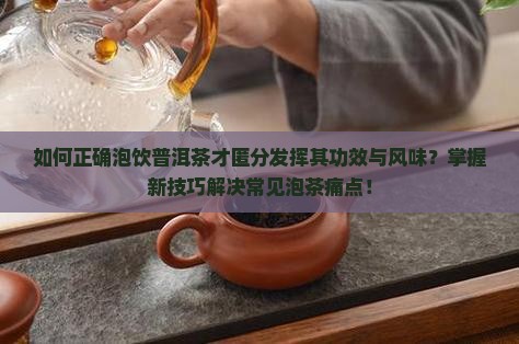 如何正确泡饮普洱茶才匿分发挥其功效与风味？掌握新技巧解决常见泡茶痛点！