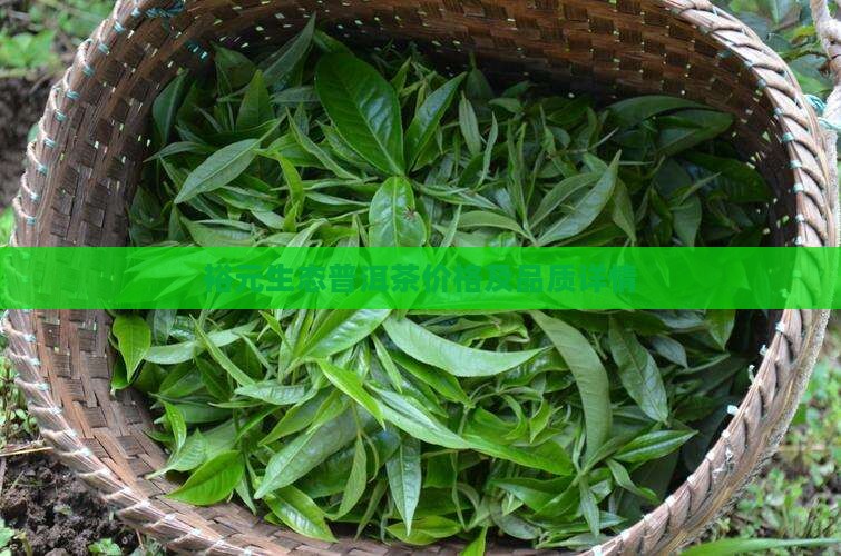 裕元生态普洱茶价格及品质详情