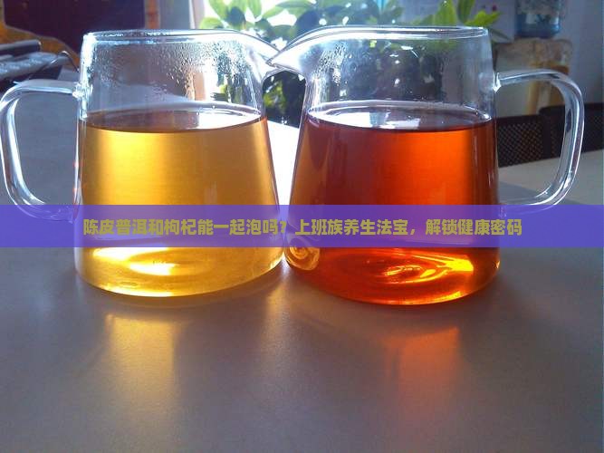 陈皮普洱和枸杞能一起泡吗？上班族养生法宝，解锁健康密码