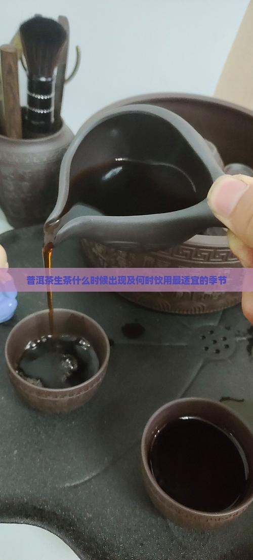 普洱茶生茶什么时候出现及何时饮用最适宜的季节