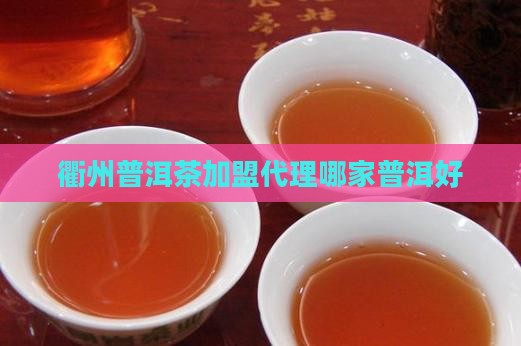 衢州普洱茶加盟代理哪家普洱好