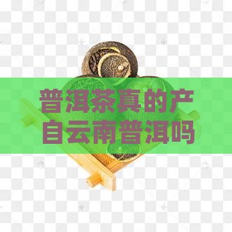 普洱茶真的产自云南普洱吗