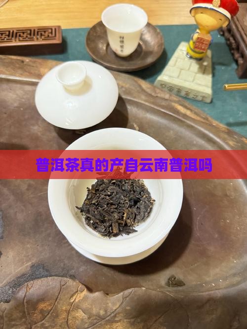 普洱茶真的产自云南普洱吗