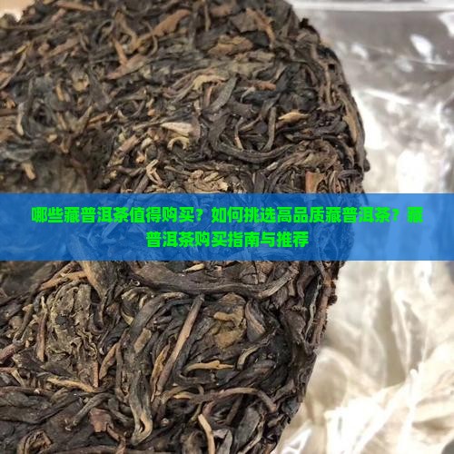 哪些藏普洱茶值得购买？如何挑选高品质藏普洱茶？藏普洱茶购买指南与推荐