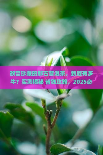 故宫珍藏的那古普洱茶