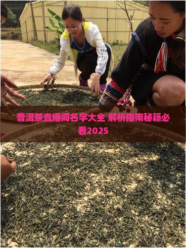原味普洱茶直播间名字