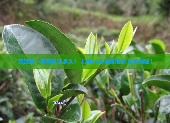 普洱茶一颗可以泡多久
