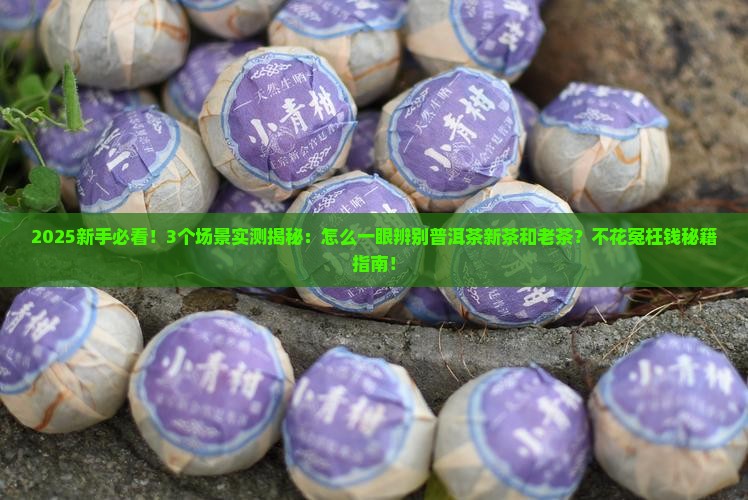 如何辨别普洱茶新茶和老茶
