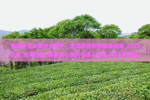 普洱茶可以做什么饼子