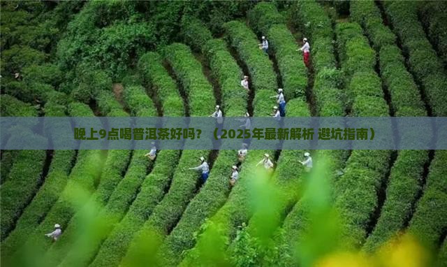 晚上9点喝普洱茶 晚上9点喝普洱茶