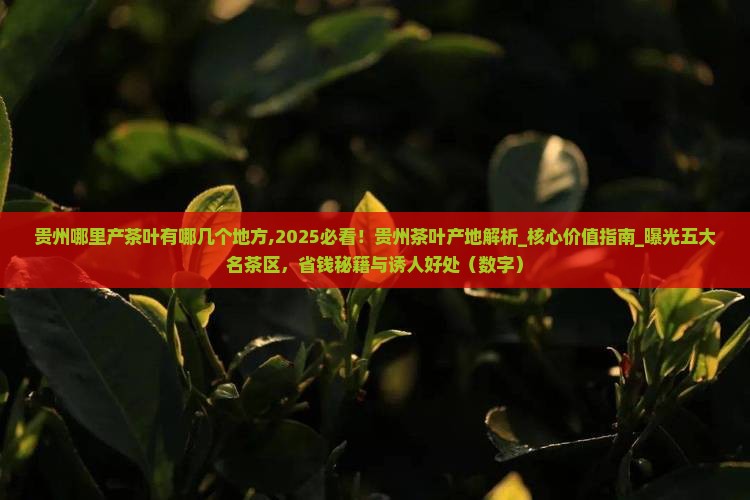 贵州哪里产茶叶有哪几个地方